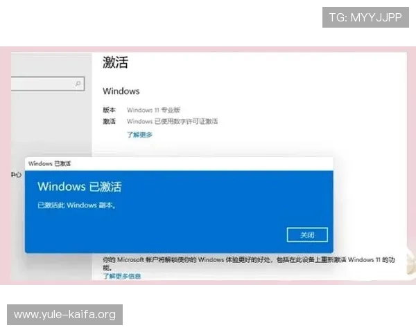 凯发客户端平台登录密码忘记后如何快速恢复账号访问权限的实用技巧